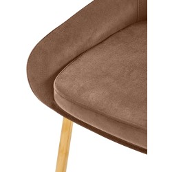 Silla de comedor Elmira en terciopelo marrón dorado