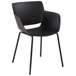 Silla Alpena negra