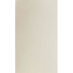 Silla de comedor Lewes de terciopelo color crema