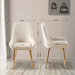 Juego de 2 sillas de comedor Elmira en terciopelo color crema y dorado.