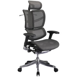 Silla de oficina ergonómica Norfolk en gris