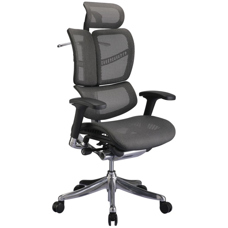 Silla de oficina ergonómica Norfolk en gris