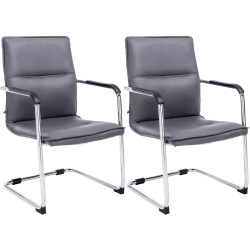 Juego de 2 sillas de visita grises Seattle