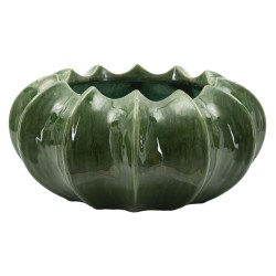 Cesta elegante para cactus CM Ø31X16