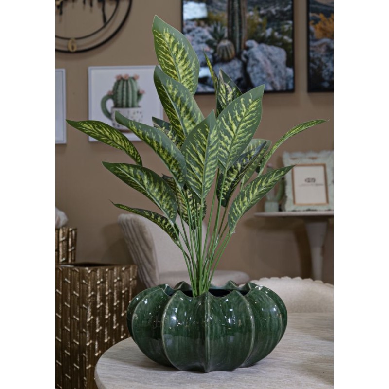 Cesta elegante para cactus CM Ø31X16