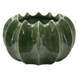 Cesta compacta para cactus CM Ø22X13.5