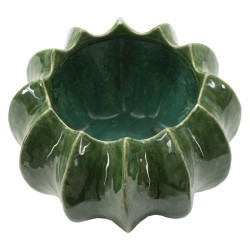 Cesta compacta para cactus CM Ø22X13.5