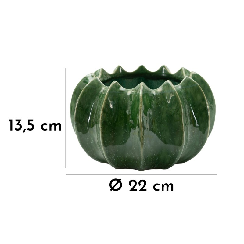 Cesta compacta para cactus CM Ø22X13.5