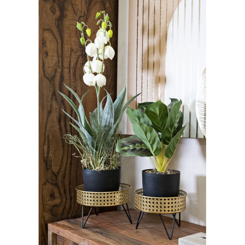 Juego de 2 jarrones Glam BOSSY Ø 20,5 x 13-18 x 13 cm - Hierro