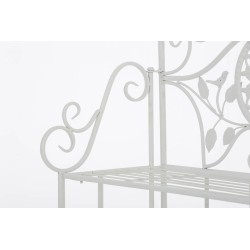 Rayos blancos de Flora