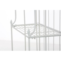 Rayos blancos de Flora