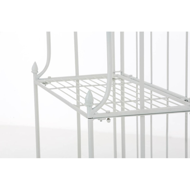 Rayos blancos de Flora