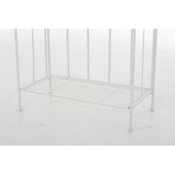 Rayos blancos de Flora