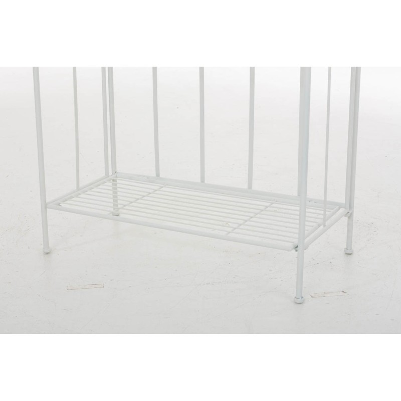 Rayos blancos de Flora