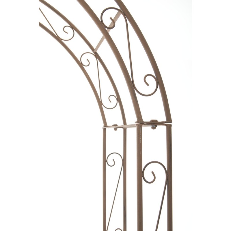 lazo de rosa Lenz marrón antiguo