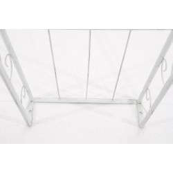 Arco de rosas sol blanco antiguo