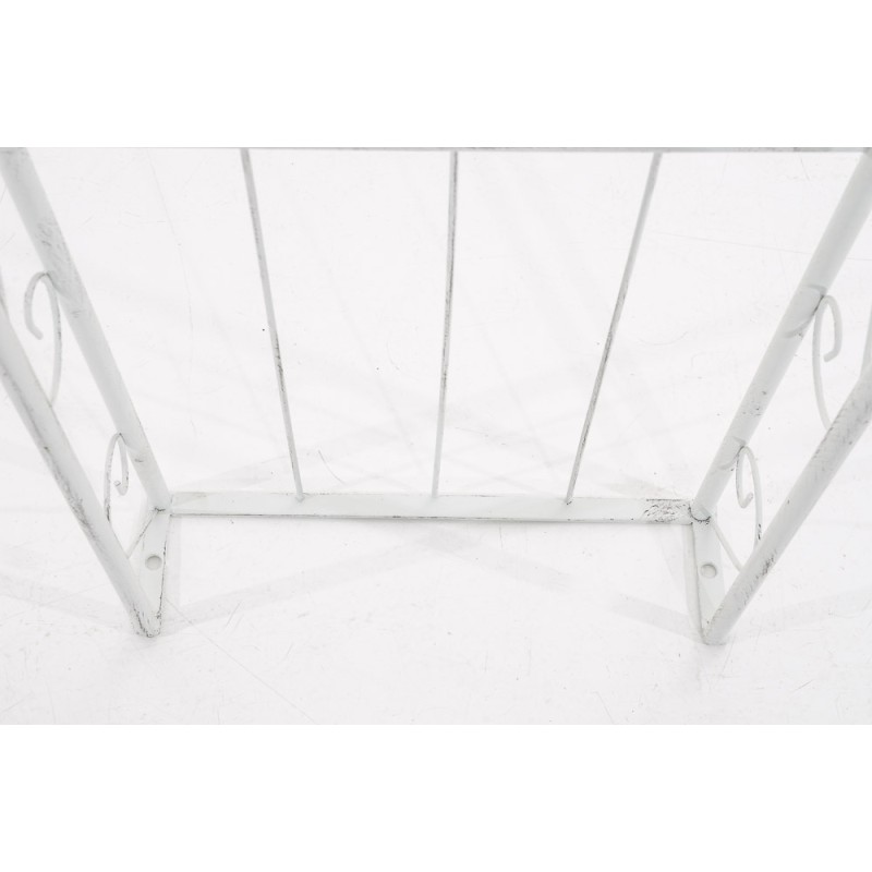 Arco de rosas sol blanco antiguo