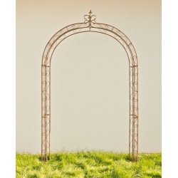 Lazo de rosa Sol marrón antiguo