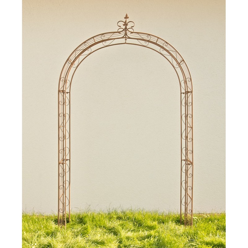 Lazo de rosa Sol marrón antiguo