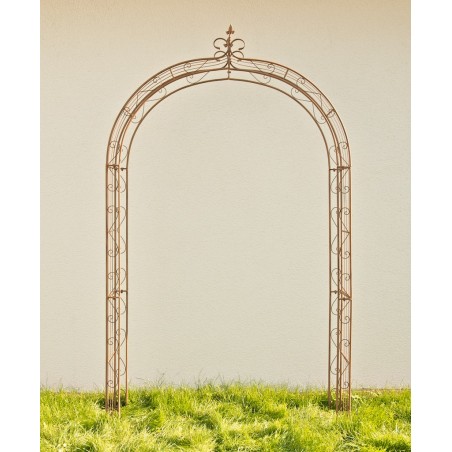 Lazo de rosa Sol marrón antiguo