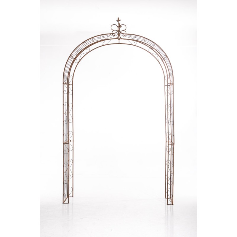 Lazo de rosa Sol marrón antiguo