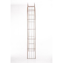 Lazo de rosa Sol marrón antiguo