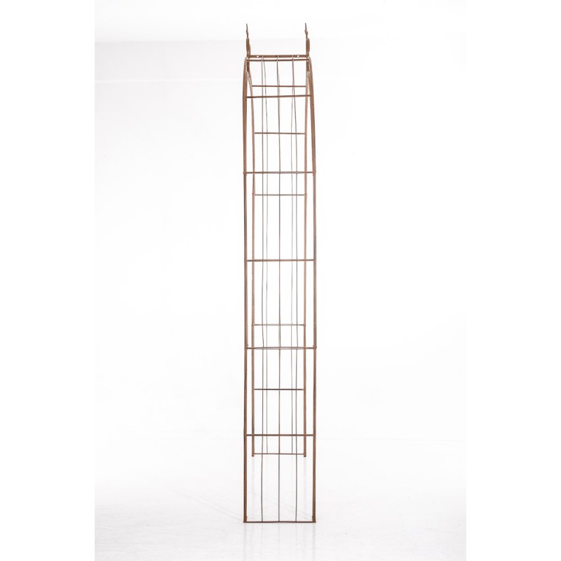 Lazo de rosa Sol marrón antiguo