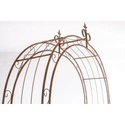 Lazo de rosa Sol marrón antiguo