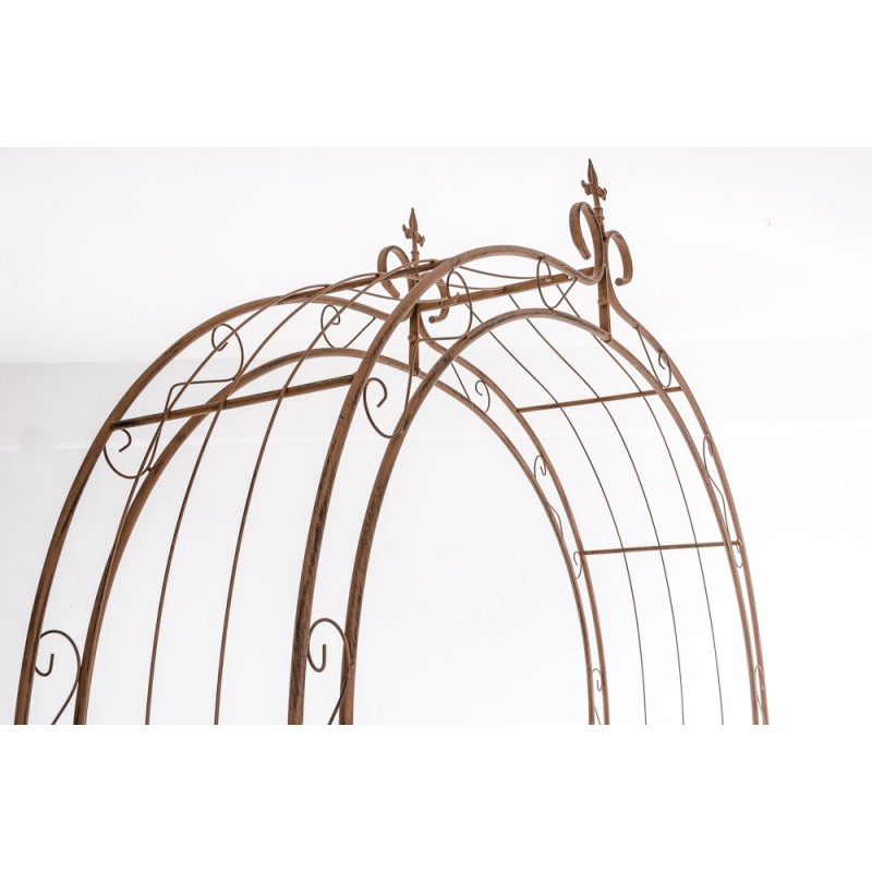 Lazo de rosa Sol marrón antiguo