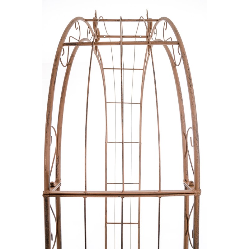 Lazo de rosa Sol marrón antiguo