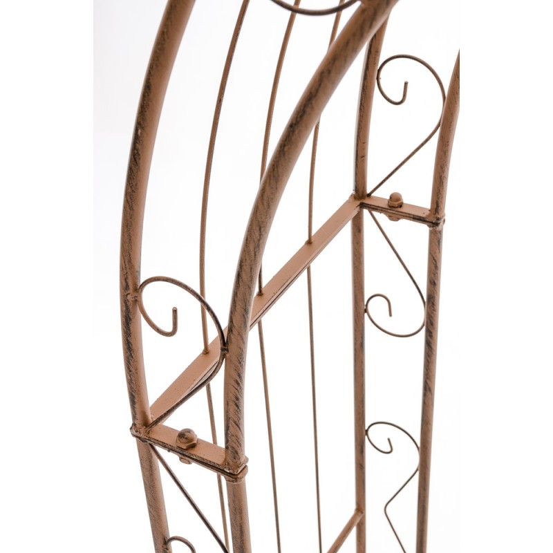 Lazo de rosa Sol marrón antiguo