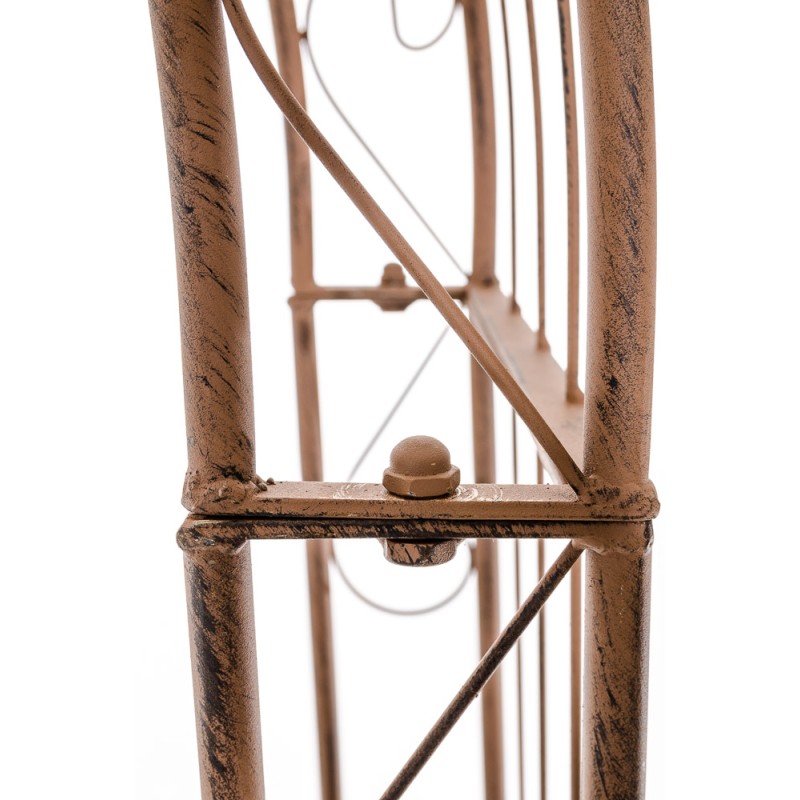 Lazo de rosa Sol marrón antiguo