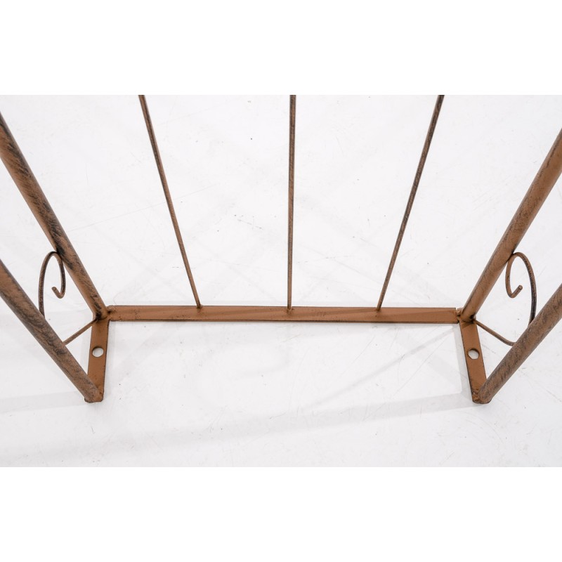 Lazo de rosa Sol marrón antiguo