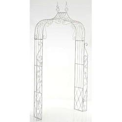 Arco de rosas, Aurora blanca antigua