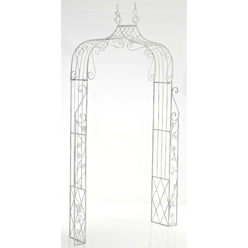 Arco de rosas, Aurora blanca antigua