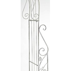 Arco de rosas, Aurora blanca antigua