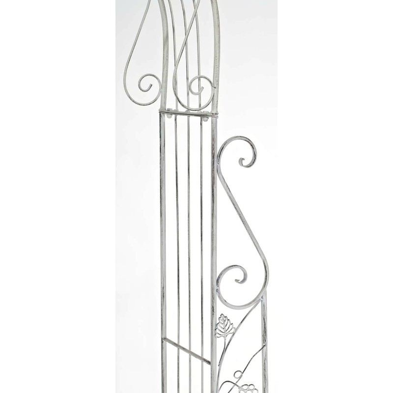 Arco de rosas, Aurora blanca antigua