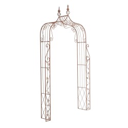 Arco de Rosas, Aurora Marrón Antiguo