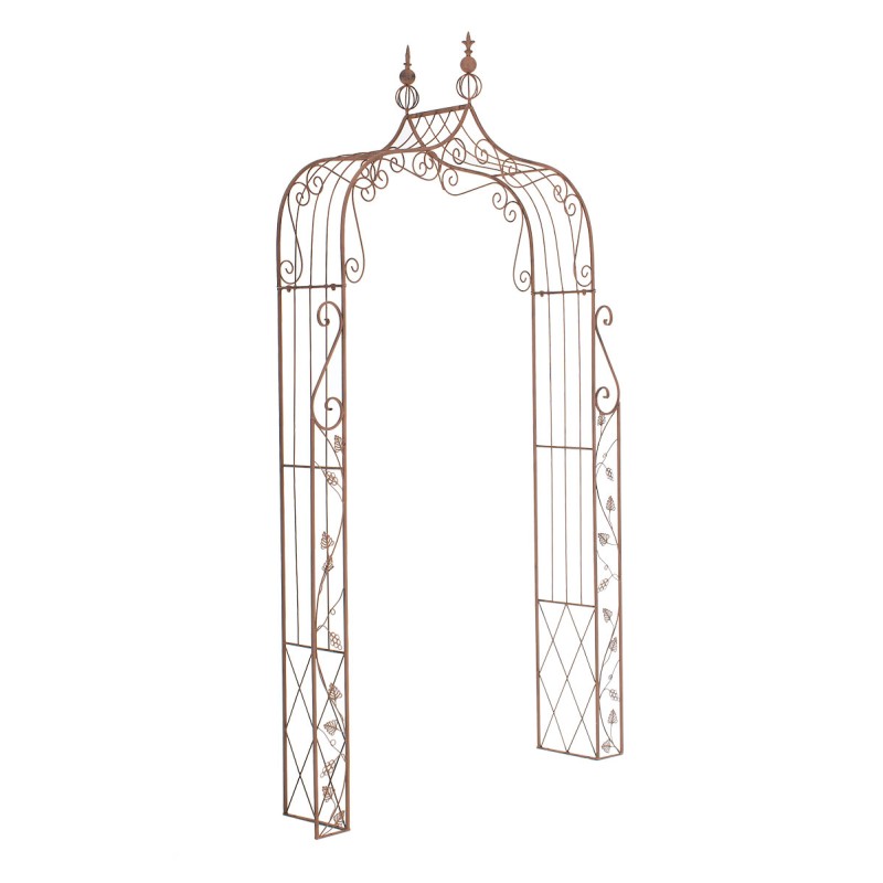 Arco de Rosas, Aurora Marrón Antiguo