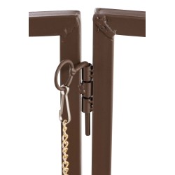 Arco rosa de Luxor con puerta marrón