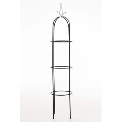 Columna Rosa Romantika Negra