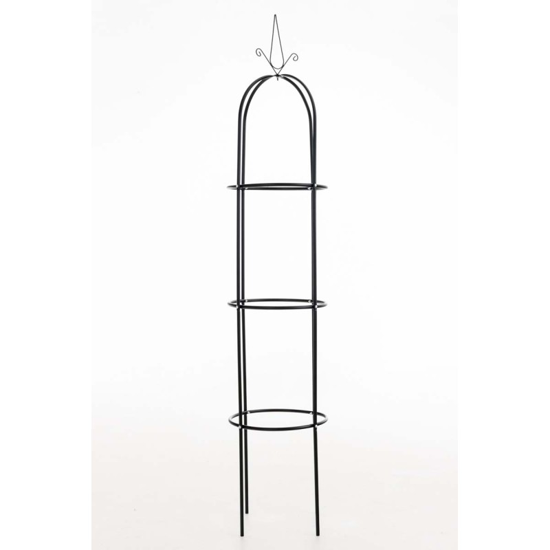 Columna Rosa Romantika Negra