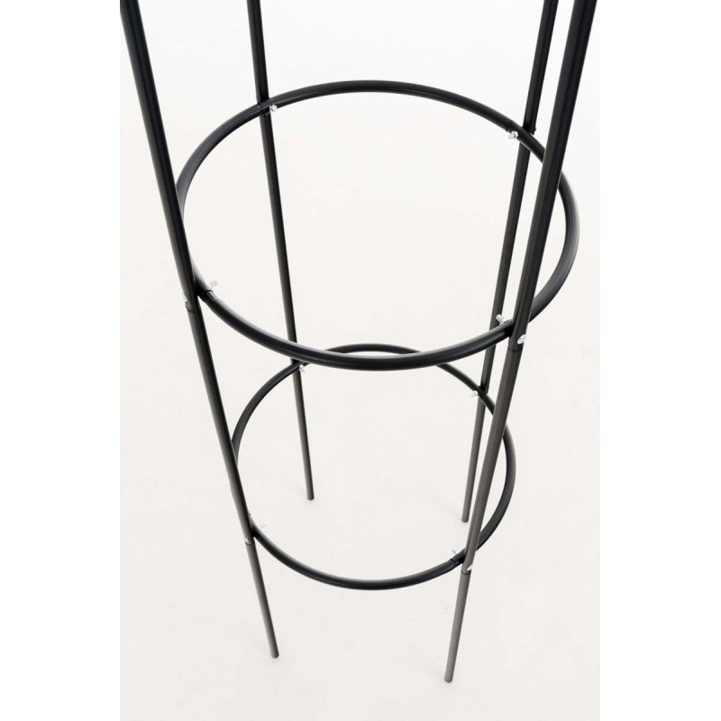 Columna Rosa Romantika Negra