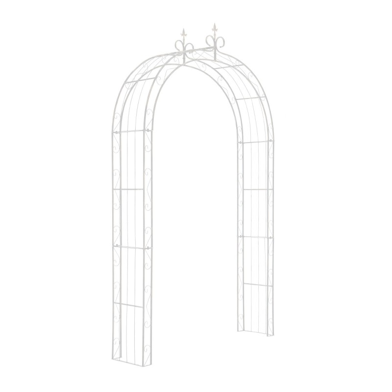 Lazo de rosa Sol blanco