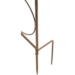 Enrejado de mandevilla marrón antiguo