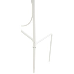 Enrejado de Mandevilla Blanca