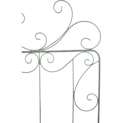 Enrejado antiguo de Mandevilla verde