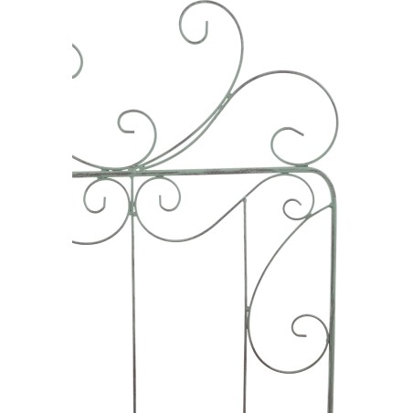 Enrejado antiguo de Mandevilla verde