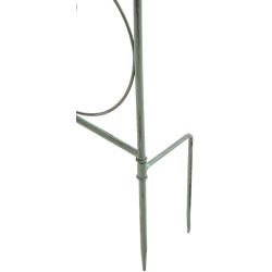 Enrejado antiguo de Mandevilla verde