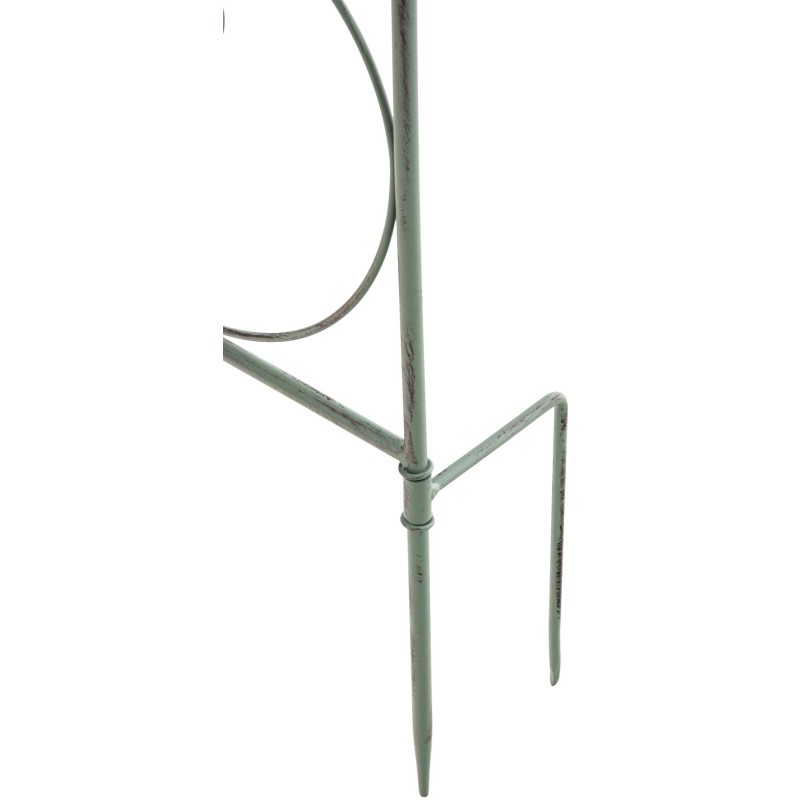 Enrejado antiguo de Mandevilla verde